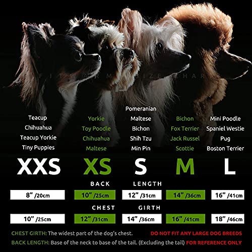 Valentine’s Day Be My Pawlentines Pet Dress