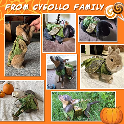 Bunny Dinosaur Costume for Small Pets