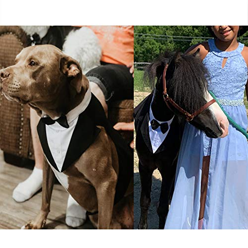 Navy Dog Tuxedo Suit with Bow Tie Set