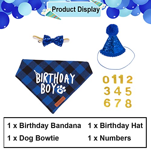 Dog Birthday Party Bandana and Hat Set