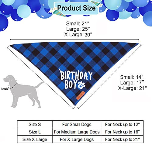 Dog Birthday Party Bandana and Hat Set