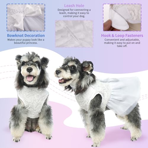 White Lace Dog Wedding Dress with Bowknot