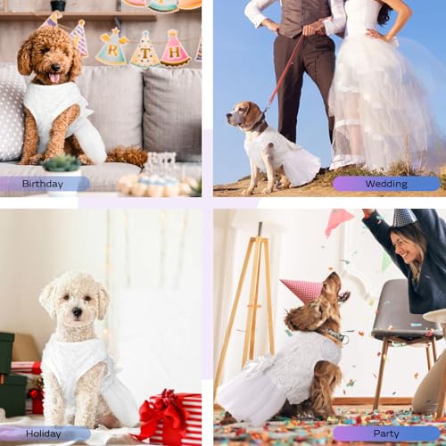 White Lace Dog Wedding Dress with Bowknot