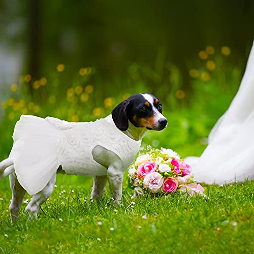 White Lace Dog Wedding Dress with Bowknot