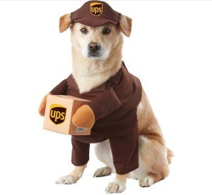 UPS Delivery Driver Dog Halloween Costume