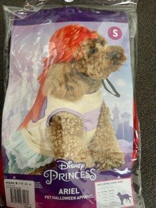 Medium Halloween Costume for Dogs