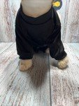Skeleton Costume for Small to Large Dogs