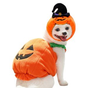 Cozy Pumpkin Dog Costume for Halloween Fun