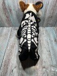 Skeleton Costume for Small to Large Dogs