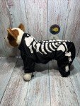 Skeleton Costume for Small to Large Dogs