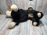 Skeleton Costume for Small to Large Dogs