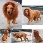 Lion Mane Wig with Ears for Large Dogs