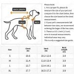 Cute Animal Halloween Pet Costume for Dogs & Cats