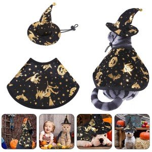 Funny Wizard Cloak and Hat Pet Costume