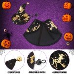 Funny Wizard Cloak and Hat Pet Costume