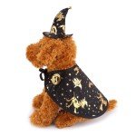 Funny Wizard Cloak and Hat Pet Costume