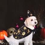 Funny Wizard Cloak and Hat Pet Costume