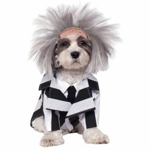 Beetlejuice Dog Costume for Halloween - Size XL