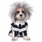 Beetlejuice Dog Costume for Halloween - Size XL