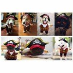 Pirate Costume for Dogs and Cats - Halloween Outfit