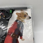 Deadpool & Wolverine Dogpool Pet Costume