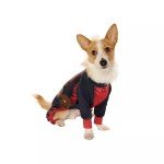 Deadpool & Wolverine Dogpool Pet Costume
