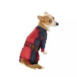 Deadpool & Wolverine Dogpool Pet Costume