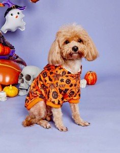 Boo Orange Dog Pajamas Halloween Costume