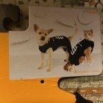 XS Skeleton Dog Pajamas Halloween Costume