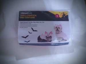 Vibrant Pig Halloween Costume for Small Dogs