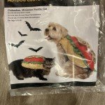 Vibrant Hot Dog Costume for Pets - X-Small