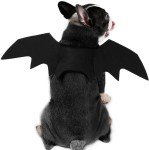 Large Dog Bat Wing Halloween Costume with Bell
