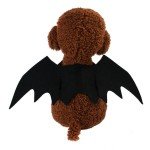 Funny Black Bat Wings Costume for Pets