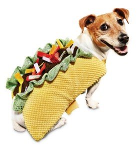 Taco Halloween Costume for Dogs and Cats