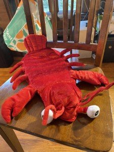 Skull & Bones Red Lobster Dog Costume