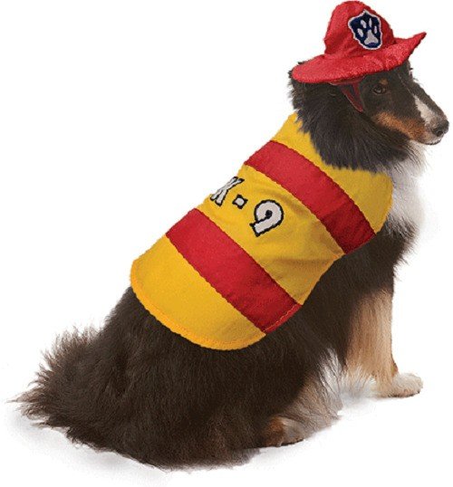 Fashion Pet