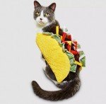 Taco Halloween Costume for Dogs and Cats