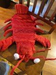 Skull & Bones Red Lobster Dog Costume