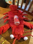 Skull & Bones Red Lobster Dog Costume