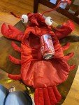 Skull & Bones Red Lobster Dog Costume