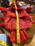 Skull & Bones Red Lobster Dog Costume