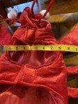 Skull & Bones Red Lobster Dog Costume