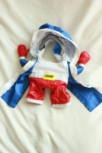 Halloween Boxer Costume for Pets