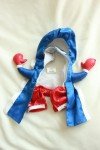 Halloween Boxer Costume for Pets