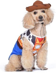 Toy Story Woody Cowboy Costume for Dogs XL