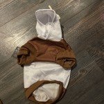 Mutt-ella Dog Halloween Costume, Medium Size