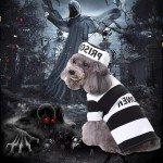 Prisoner Dog Costume - Halloween Pet Outfit