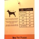 Super Pup Halloween Costume for Medium Dogs