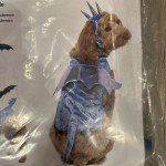 Blue Dragon Dog Halloween Costume - Medium Size