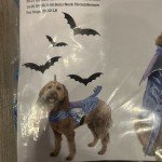 Blue Dragon Dog Halloween Costume - Medium Size